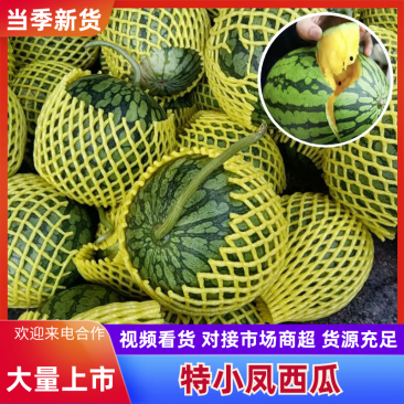 【实力推荐】特小凤西瓜/精品西瓜/对接电商商超批发市场/