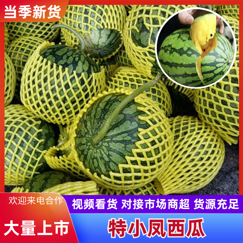 【实力推荐】特小凤西瓜/精品西瓜/对接电商商超批发市场/