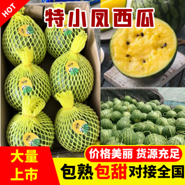【实力代办】江苏特小凤/新品上市/全国发货/对接商超市场