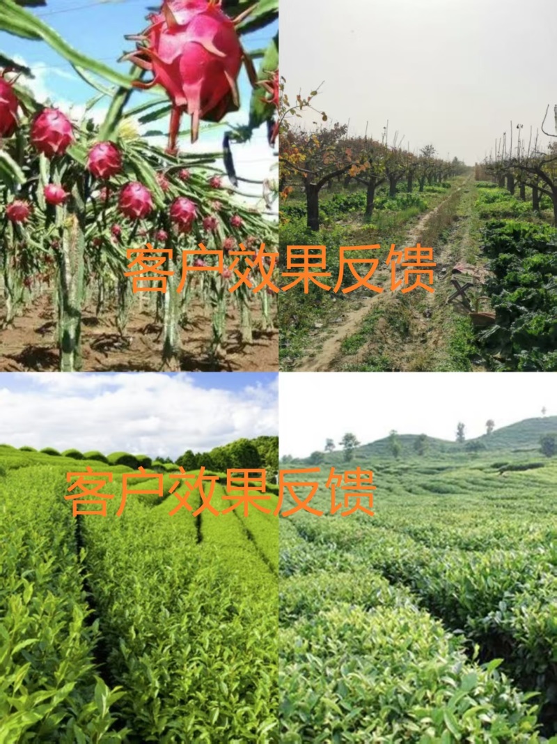 {实力}优质纯蚯蚓粪营养土/蚯蚓肥/种植土厂家直发