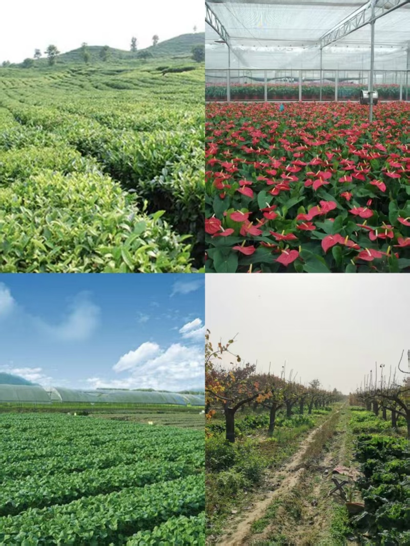 {实力}优质纯蚯蚓粪营养土/蚯蚓肥/种植土厂家直发