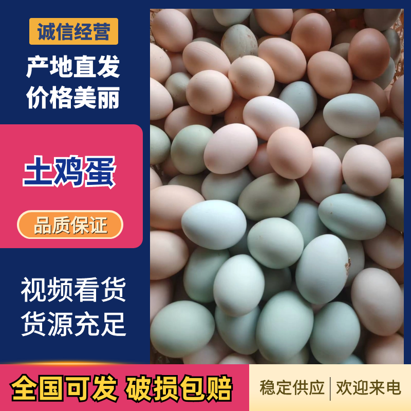 土鸡蛋南昌鸡蛋养殖基地直发品质保证对接全国