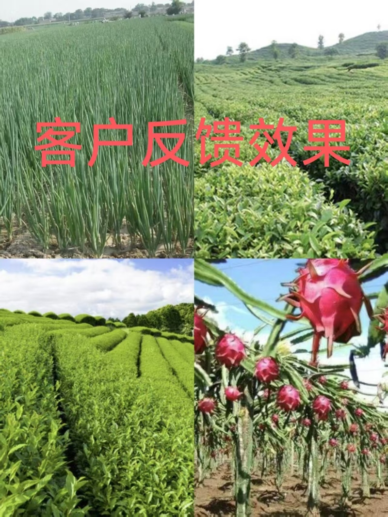 {实力}发酵纯羊粪/生物有机肥//禽畜粪便/厂家直发全国