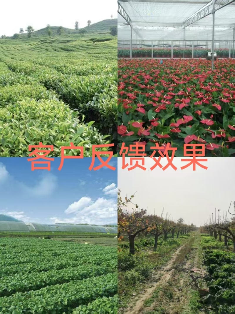 {实力}生物有机肥//禽畜粪便/厂家直发全国批发