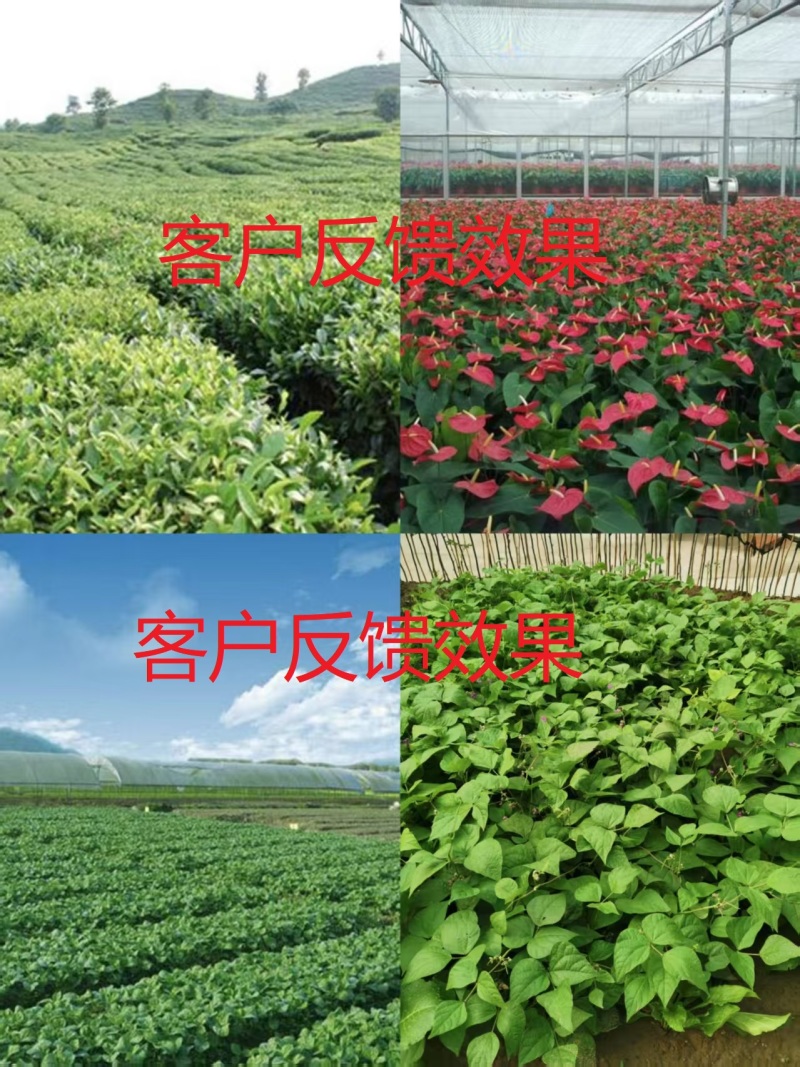 {实力}生物有机肥//禽畜粪便/厂家直发全国批发