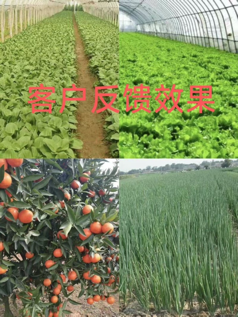 {实力}生物有机肥//禽畜粪便/厂家直发全国批发
