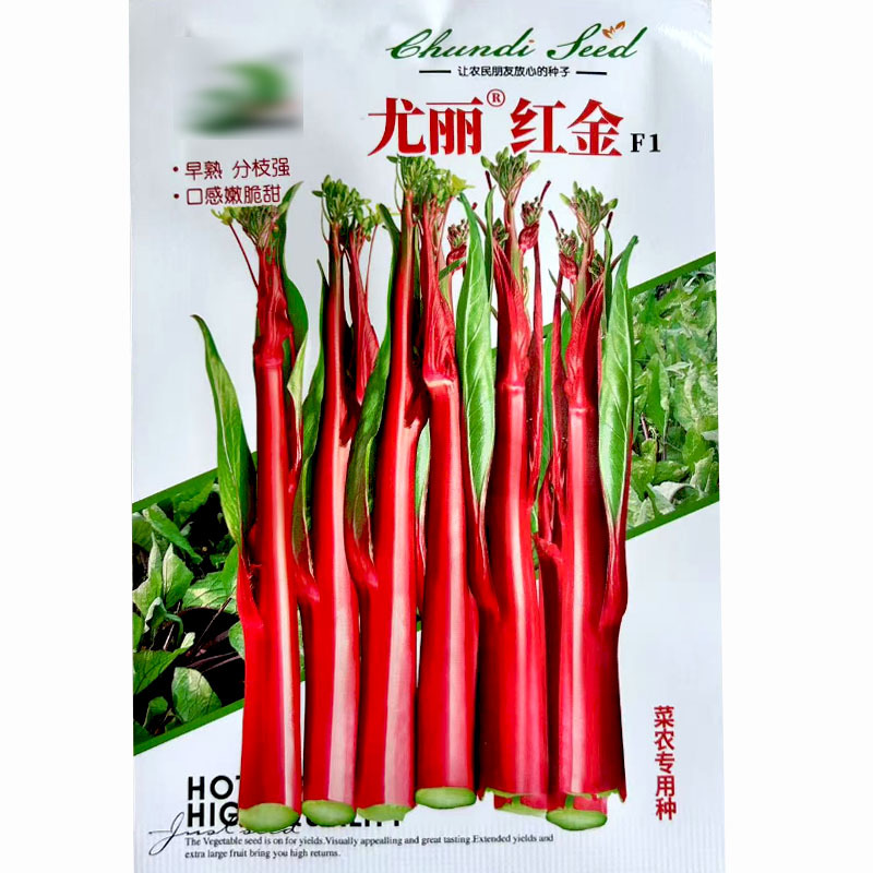 红菜苔种子菜心红金十月红紫菜苔红菜苔基地品种