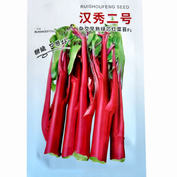 红菜苔种孑菜心种籽广东湖北十月红紫菜苔种籽四九菜心种子