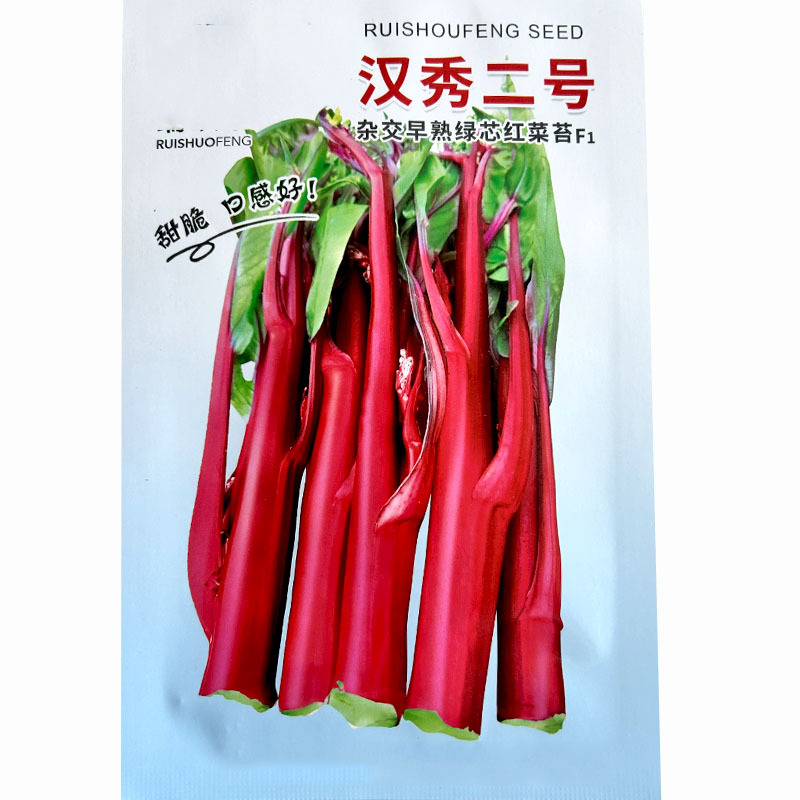 红菜苔种孑菜心种籽广东湖北十月红紫菜苔种籽四九菜心种子