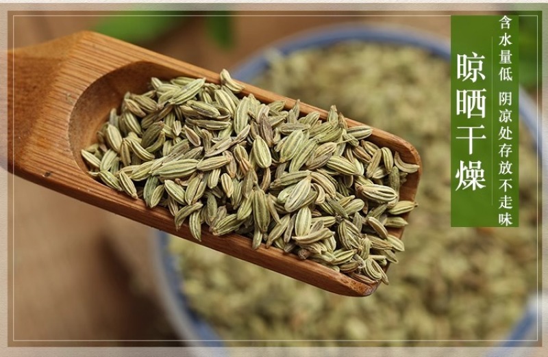 甘肃小茴香茴香籽包邮香料家用散装做菜调料干货无硫小茴香