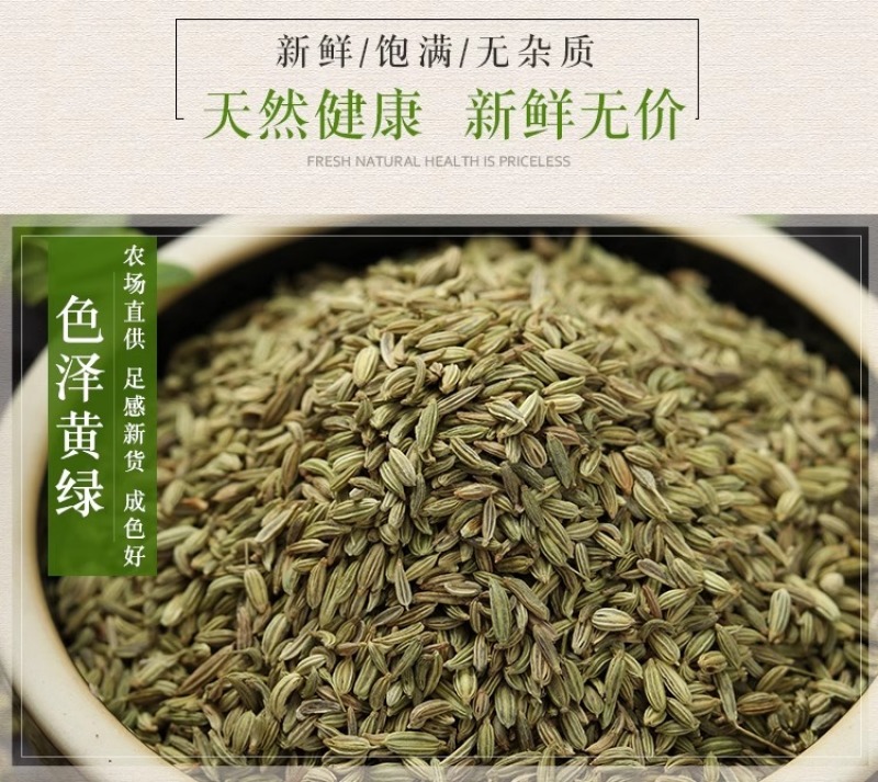 甘肃小茴香茴香籽包邮香料家用散装做菜调料干货无硫小茴香