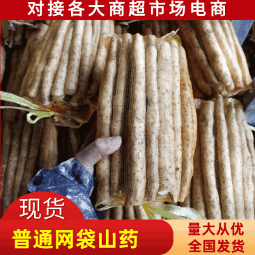 安平小白嘴山药产地直供，一手货源，量大质优，全国发货，