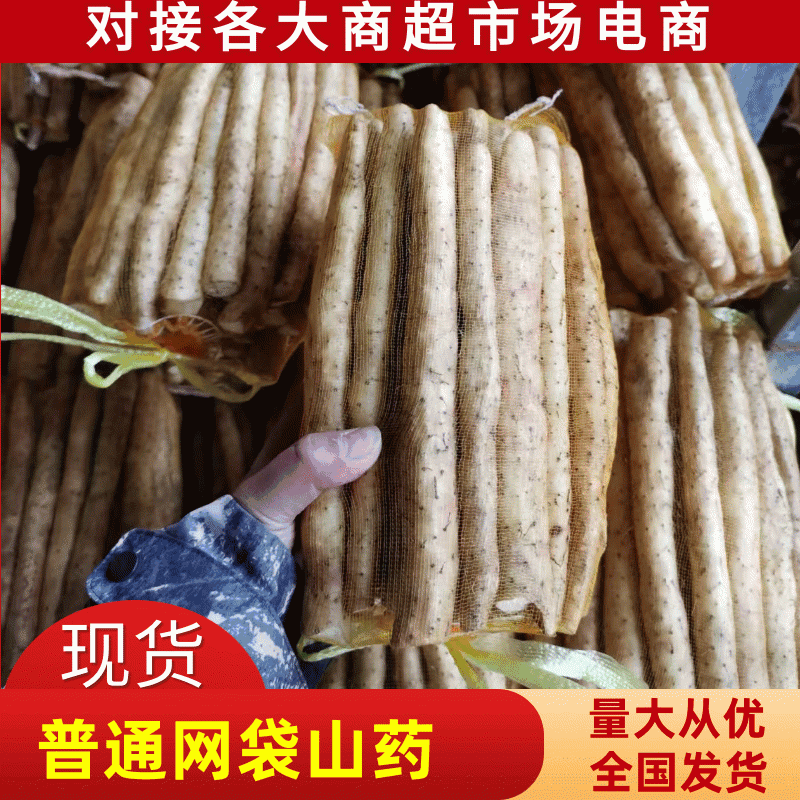 安平小白嘴山药产地直供，一手货源，量大质优，全国发货，