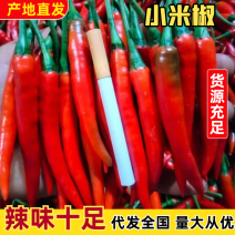 精品小米辣,新鲜红辣基地直供、现摘现发，买贵包退！