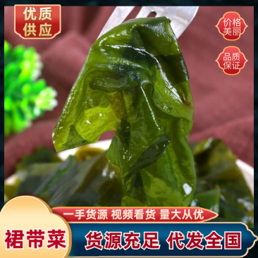 裙带菜又名螺旋藻厂家直发品质好价格优欢迎联系