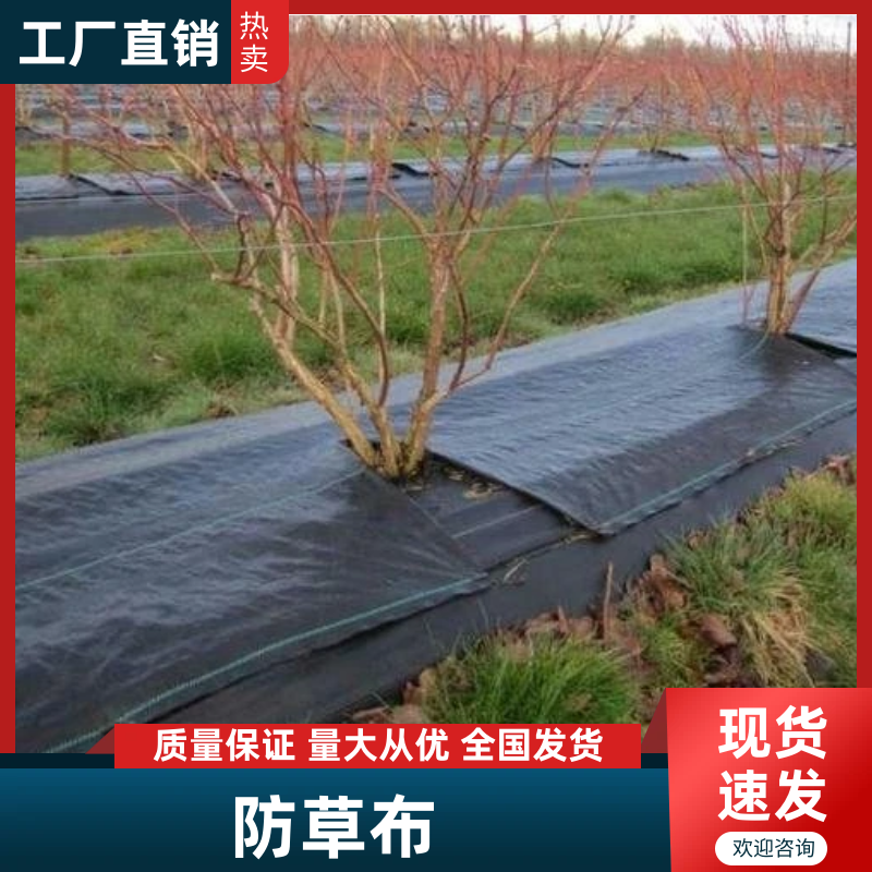 山东防草布厂家直发可视频看货量大价优欢迎致电