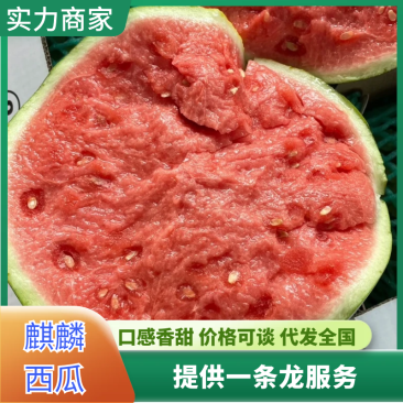 山东麒麟西瓜山东西瓜基地直供商超品质全国发货