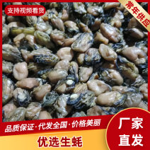 淡干生蚝牡蛎海蛎干无盐淡干质量好