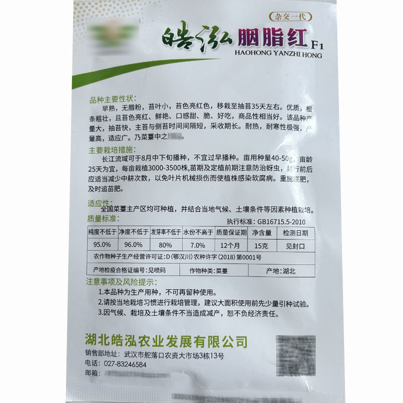 红菜苔种子杂交早熟高产胭脂红没有蜡粉叶子小出苔