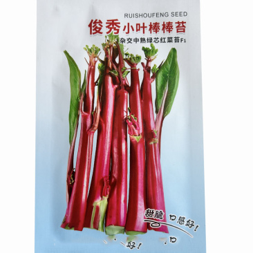 俊秀小叶御菜红菜苔种子早熟无蜡粉薹叶小红菜薹种子