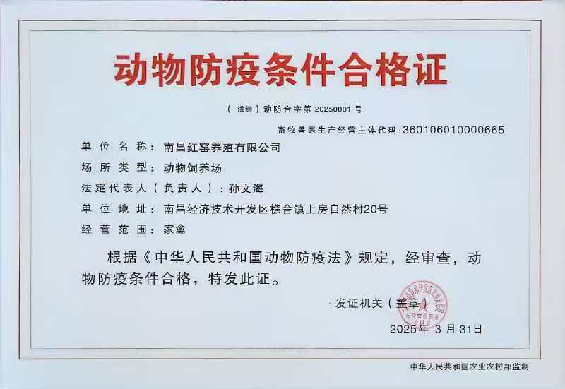 江西山林正宗农家散养土鸡蛋，跑山鸡现捡现发