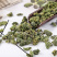 霜后桑叶茶霜打桑叶茶老桑叶叶新鲜干打槡叶茶