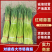 【实力推荐】河南蒜薹/精品蒜薹/红帽蒜薹/对接商超市场