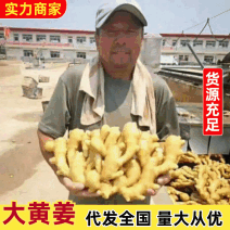 【电商货/市场货】沙土姜/水洗姜/风干姜/水洗姜巴/出口