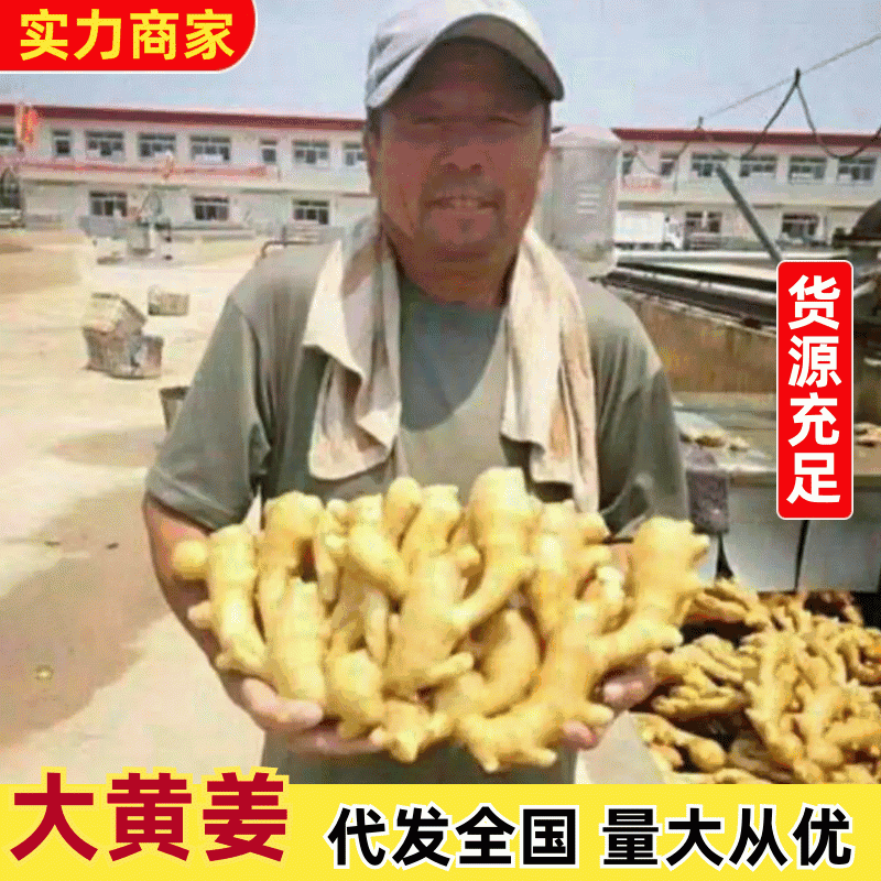 【电商货/市场货】沙土姜/水洗姜/风干姜/水洗姜巴/出口