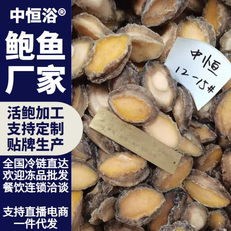 鲍鱼肉供应酒店餐厅佛跳墙炖盅食材12-15头冻品批发