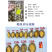 鲍鱼肉供应酒店餐厅佛跳墙炖盅食材20-25头冻品批发