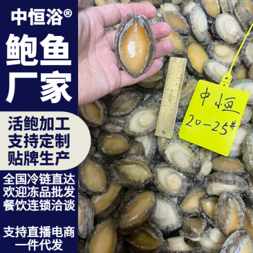 鲍鱼肉供应酒店餐厅佛跳墙炖盅食材20-25头冻品批发