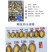 鲍鱼肉供应超市酒店餐厅电商海产品25-30头冻品批发