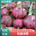 【推荐】商丘夏邑精品洋葱黄皮洋葱红皮洋葱大量上市