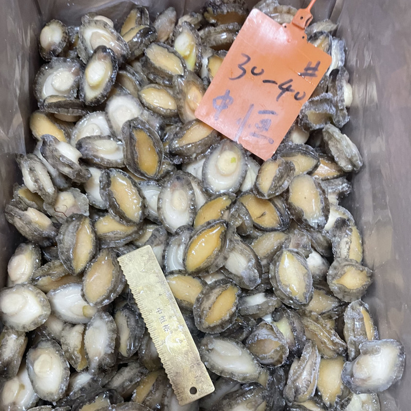 鲍鱼肉供应酒店餐厅商超海鲜食材30-40头鲍鱼冻品批发