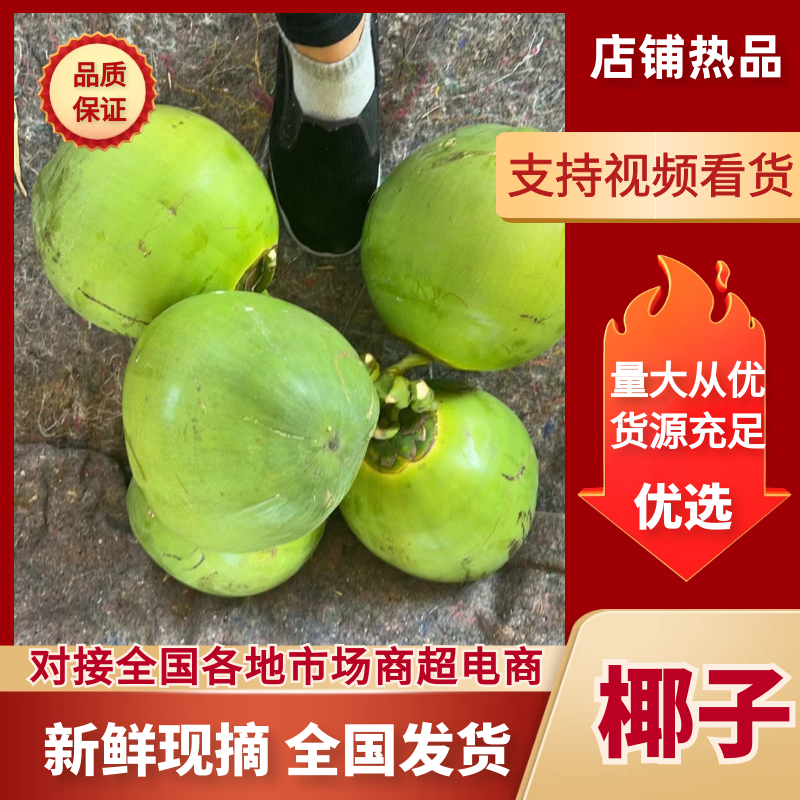 海南耶子质量包正，大量供应中品质保障对接全国商超市场