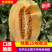 甘肃沙漠蜜瓜，晓蜜25哈密瓜产地直发量大从优