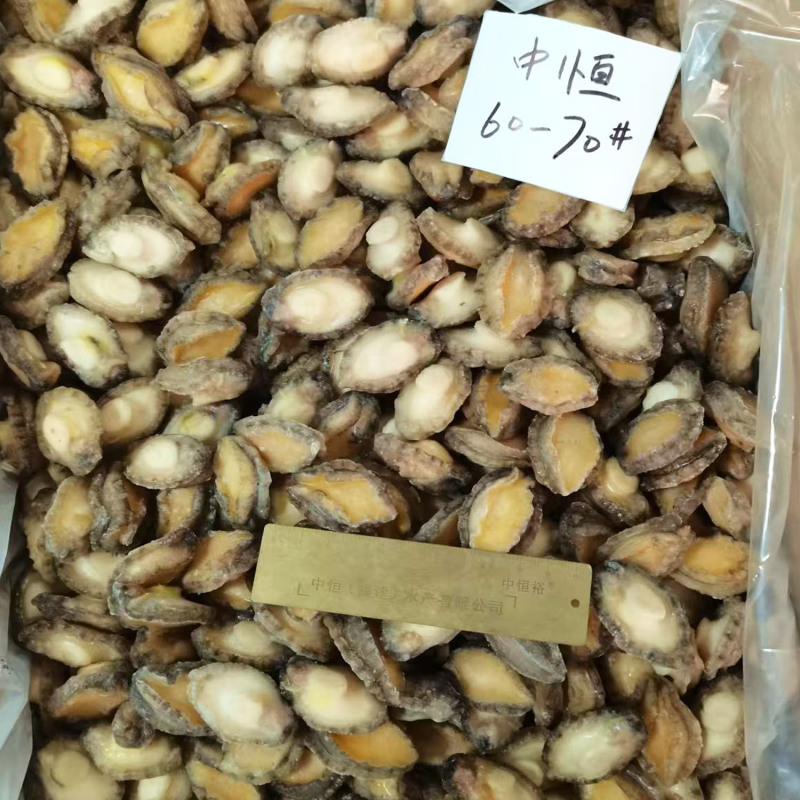鲍鱼肉酒店自助餐佛跳墙炖盅火锅食材60-70头鲍鱼批发