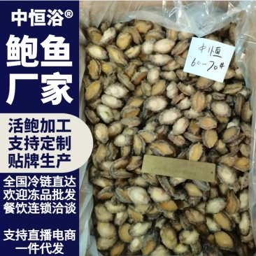 鲍鱼肉酒店自助餐佛跳墙炖盅火锅食材60-70头鲍鱼批发