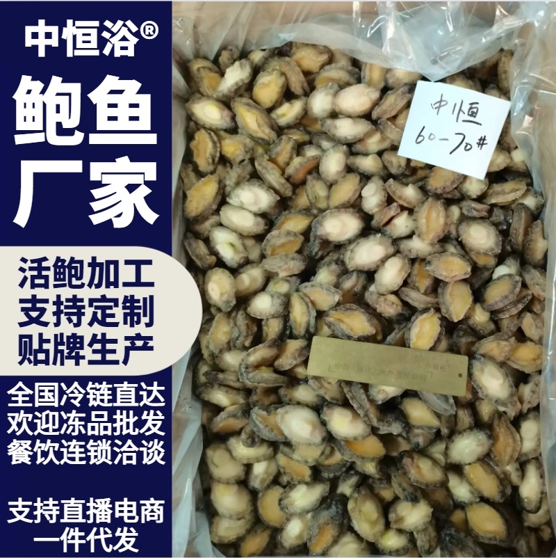 鲍鱼肉酒店自助餐佛跳墙炖盅火锅食材60-70头鲍鱼批发