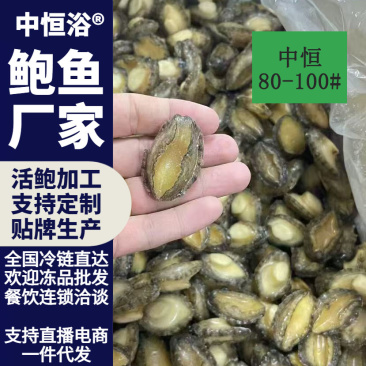 鲍鱼肉【鲍鱼厂家】佛跳墙炖盅食材供应80-100头批发