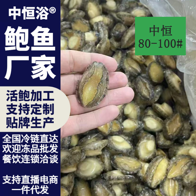 鲍鱼肉【鲍鱼厂家】佛跳墙炖盅食材供应80-100头批发