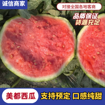 浙江甜瓜精品8424西瓜皮薄肉厚口感甘甜欢迎咨询
