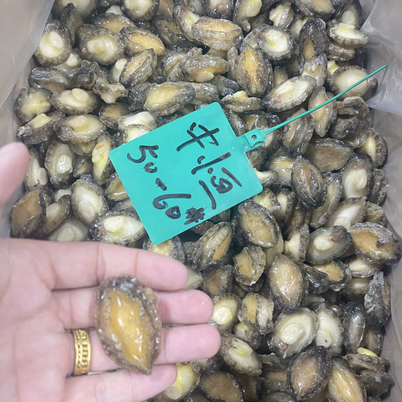 鲍鱼肉【鲍鱼工厂】酒店餐厅超市海鲜冻品50-60头批发