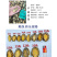 鲍鱼肉【鲍鱼工厂】酒店餐厅超市海鲜冻品50-60头批发