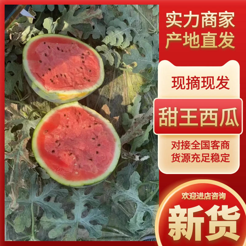山东西瓜精品甜王西瓜大量上市产地直供糖度高口感好