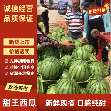 甜王西瓜京欣西瓜山东西瓜产地一手货源糖度高质量三包