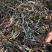 古树普洱茶千年古树茶可零售对接线下市场和电商