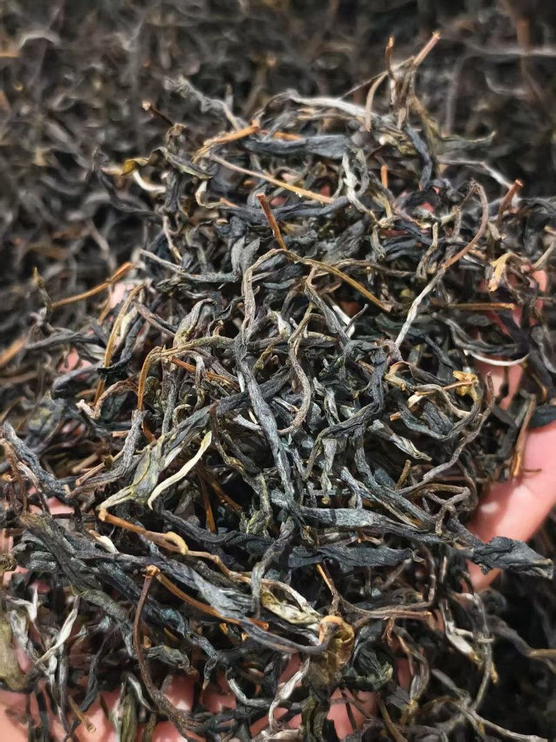 古树普洱茶千年古树茶可零售对接线下市场和电商