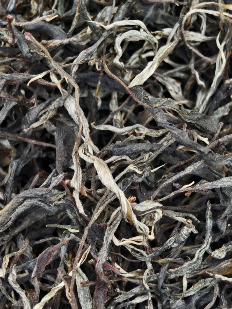 千年古树普洱茶可批发可零售对接线下市场和电商